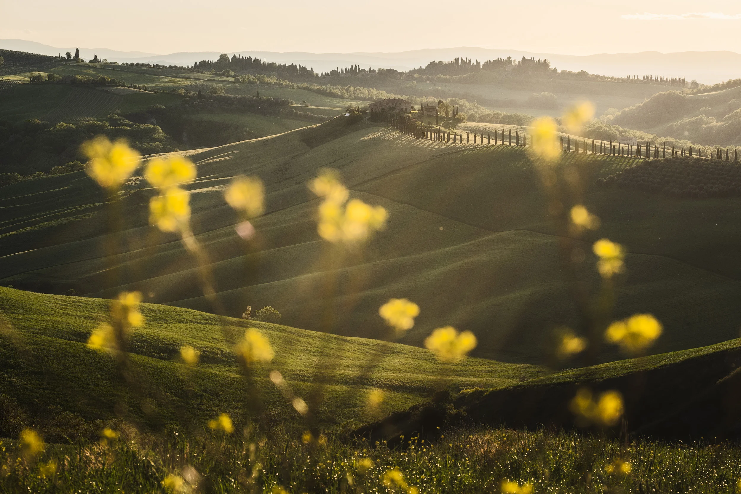 TUSCANY IN MAY WORKSHOP — Andy Mumford Photography